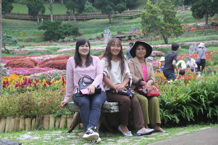 ciied lai 